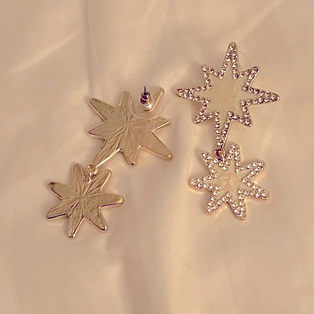 Fashion Earrings